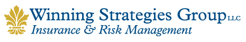 Winning Strategies Group LLC